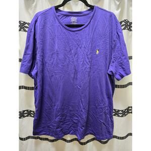 Polo Ralph Lauren royal purple yellow embroidered tiny pony short sleeve shirt